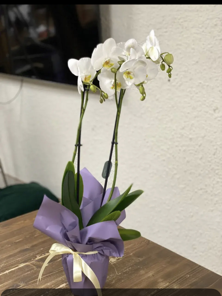 Отзыв от Станислав на сайте FlowLove